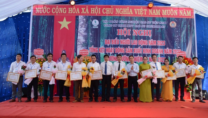Công ty Cao su Chư Mon Ray điểm sáng năng suất vườn cây 